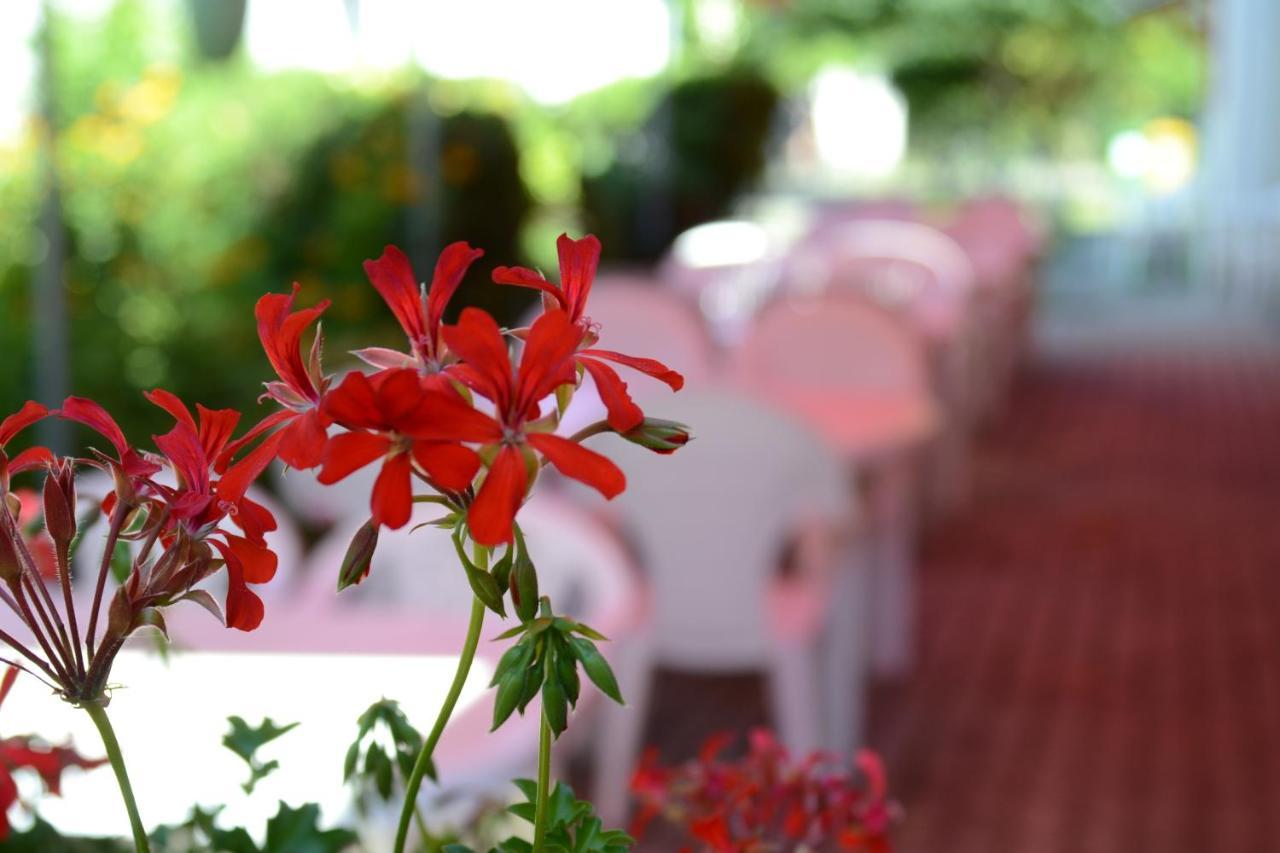 Bed and Breakfast Zoeld Zona Zamardi Ueduelo Экстерьер фото